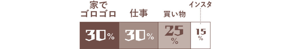 家でゴロゴロ30％、仕事30％、買い物25％、インスタ15％