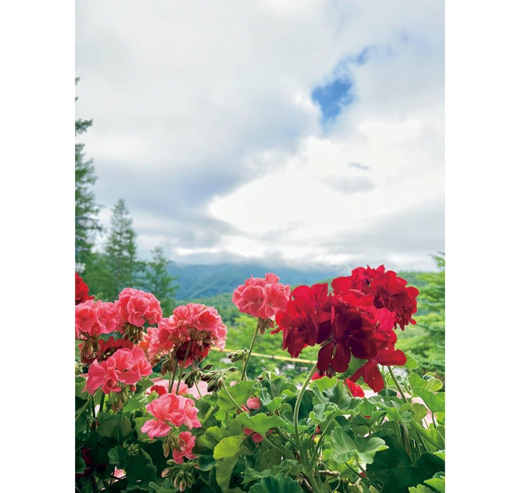 キレイな景色を見ながら一年をプレイバック！（角砂糖さん・大学1年）