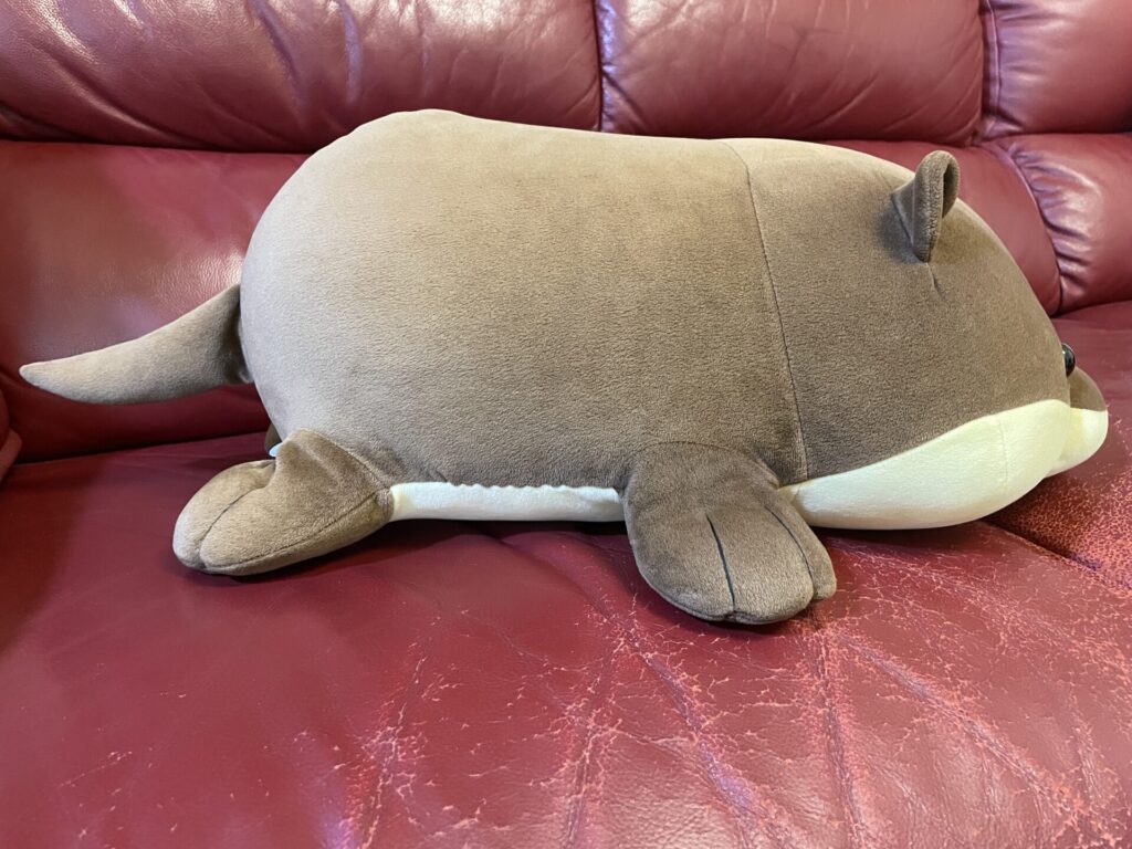 八景島シーパラダイス限定のくじ引きで当たったカワウソ2等のぬいぐるみを左横から撮影した画像です。