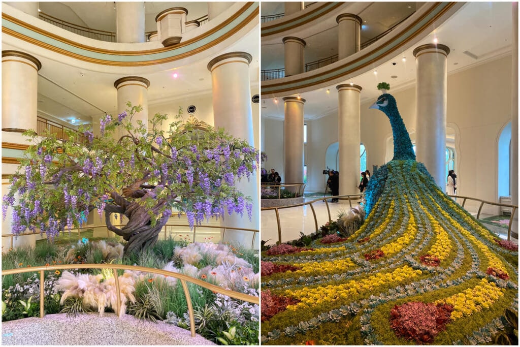 コンサバトリー