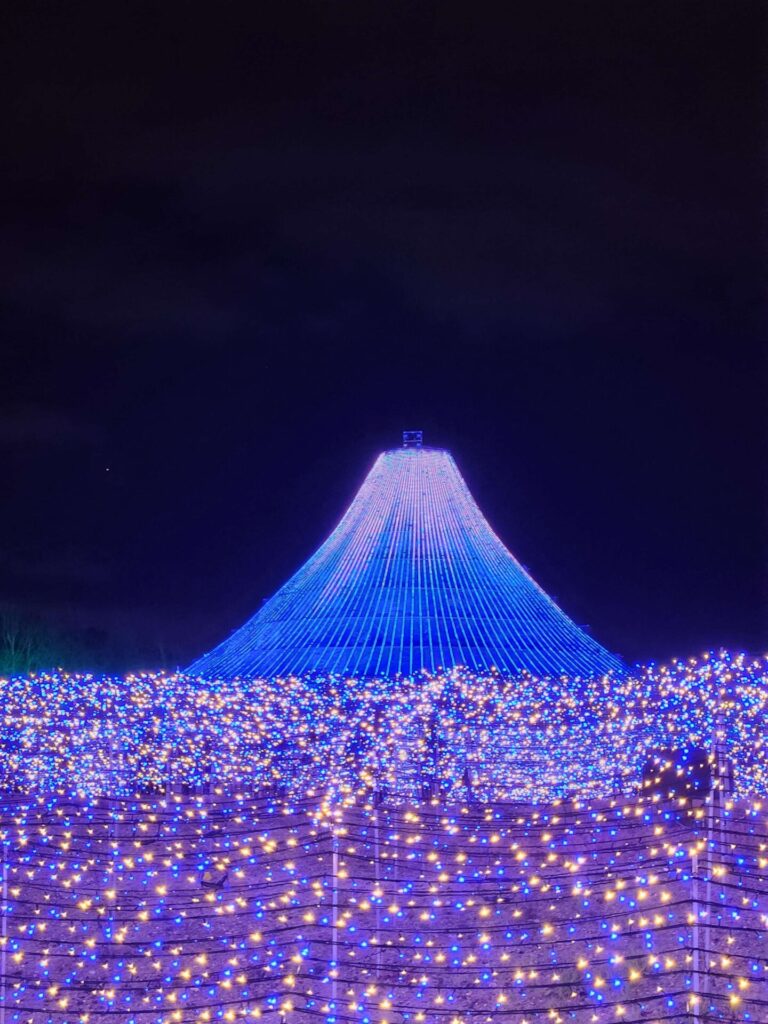 なばなの里 富士山 イルミネーション