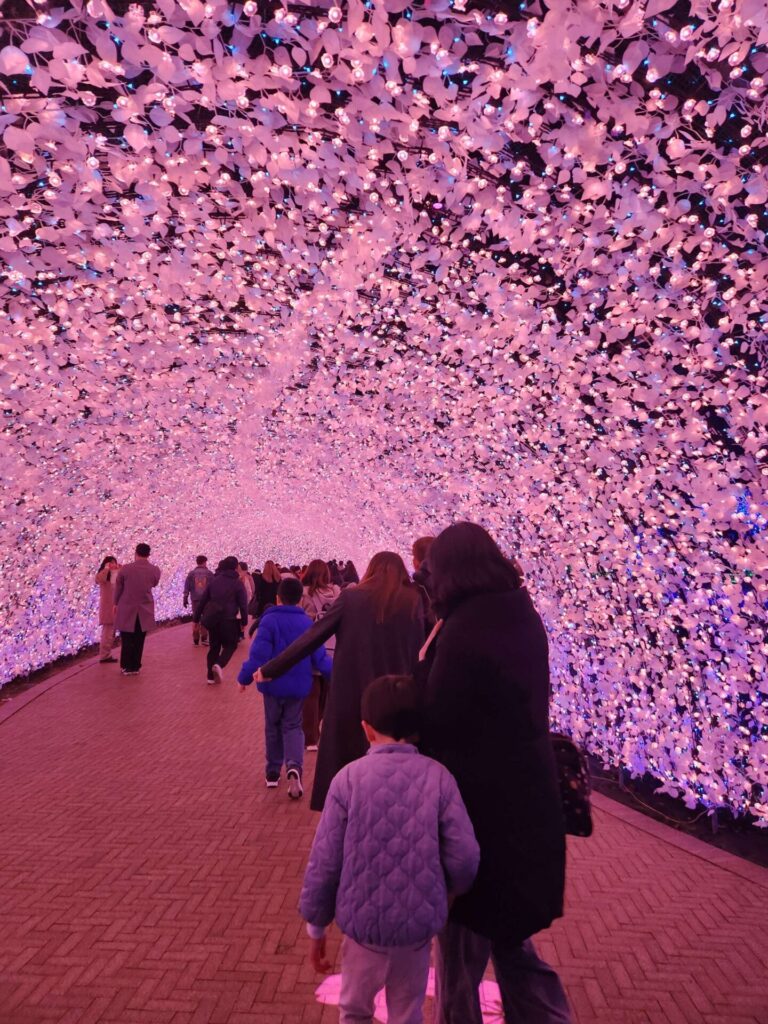 海さくら 光のトンネル なばなの里