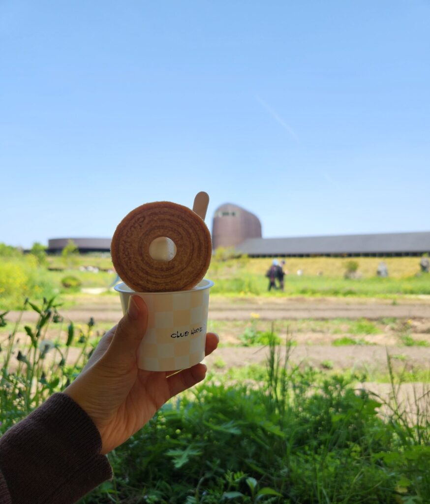 ラコリーナ近江八幡 バームソフト