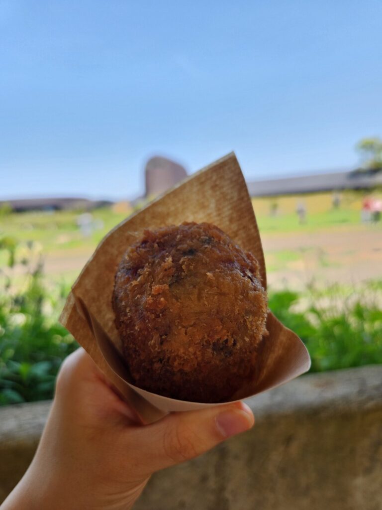 アランチーノ ライスコロッケ ラコリーナ近江八幡 滋賀県