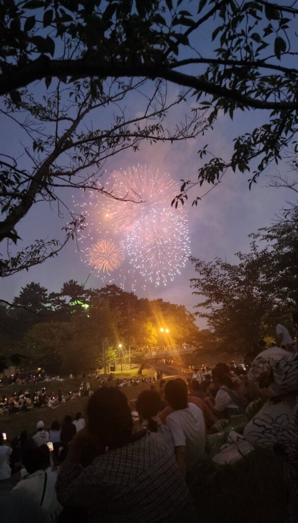 岡崎城下家康公夏まつり 花火大会