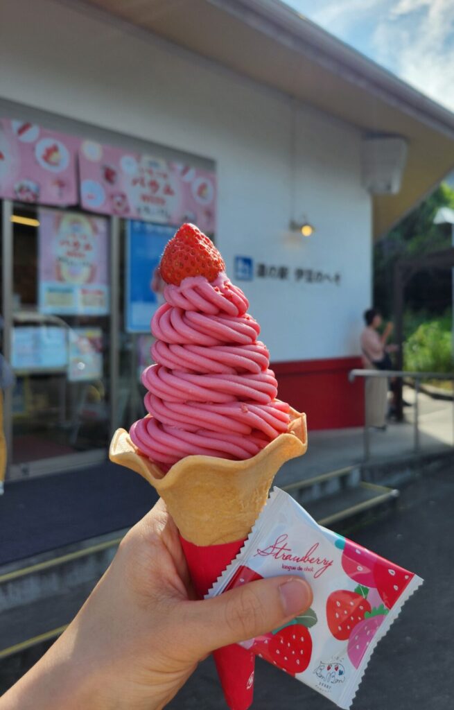 道の駅伊豆のへそ いちごBonBonBERRY 伊豆の国factory ボンボンベリーソフト