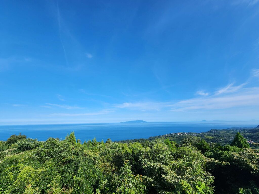 小室山 テラス 撮影