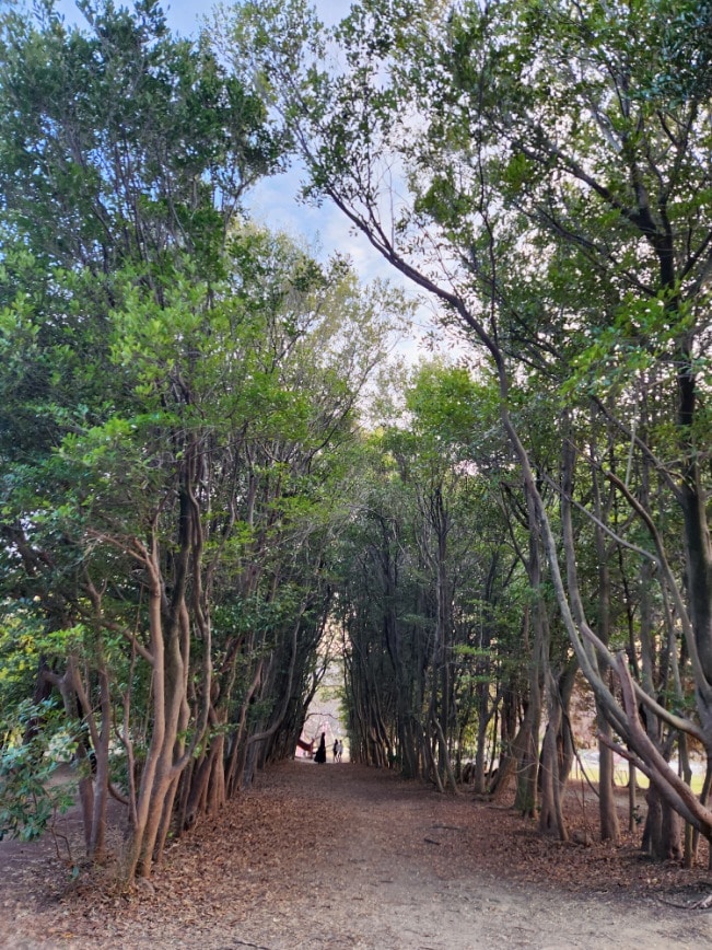 大府みどり公園