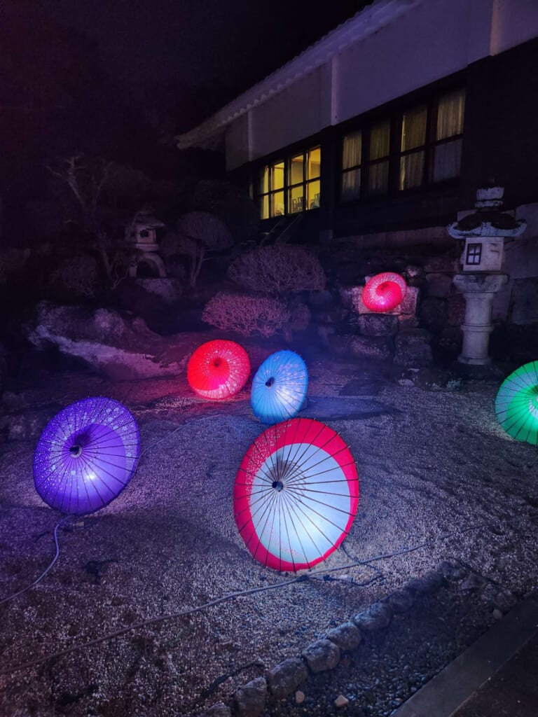 岡崎城公園 桜まつり 夜桜照明 傘