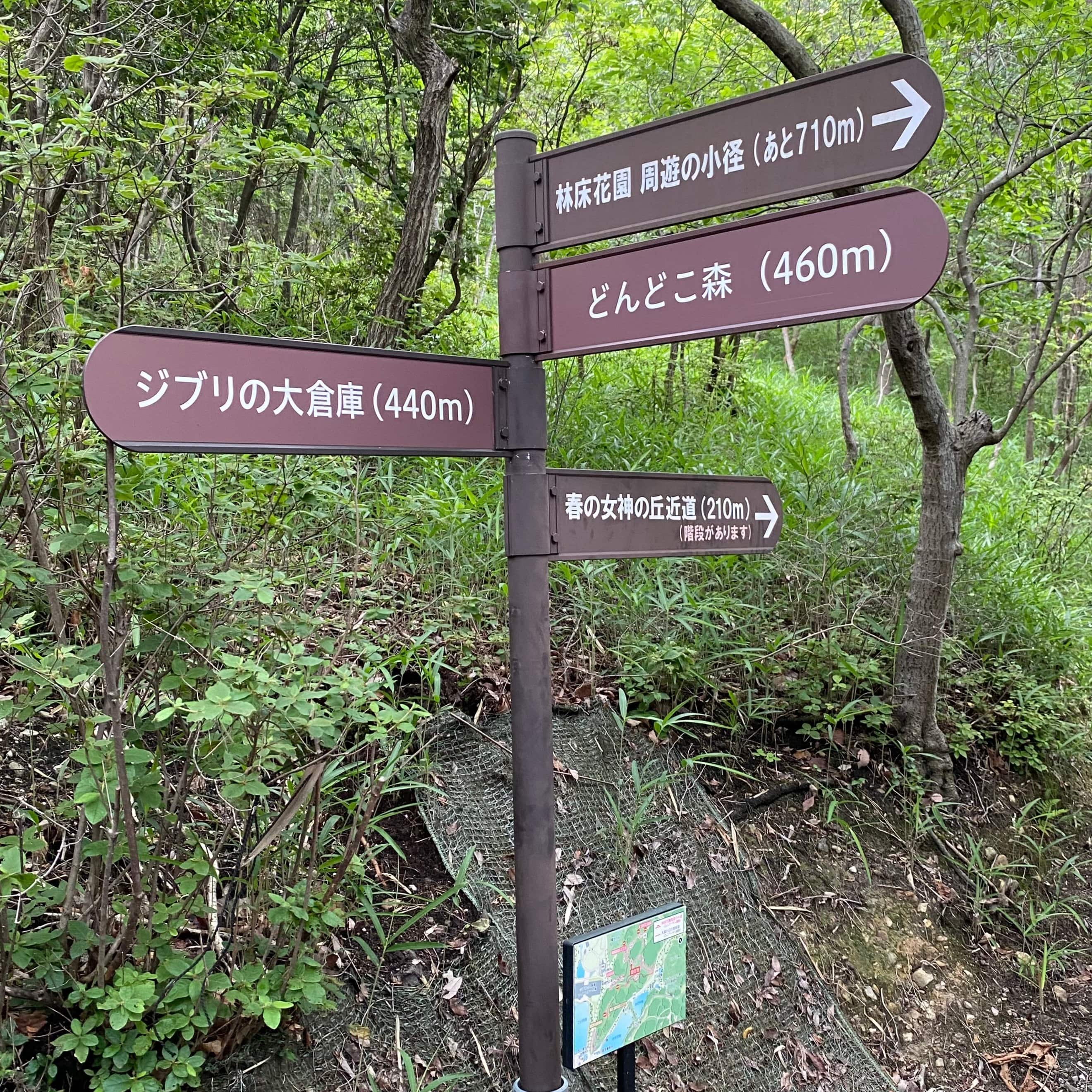 ジブリパークの無料エリア:「ジブリの大倉庫」〜「どんどこ森」間の森の散策路