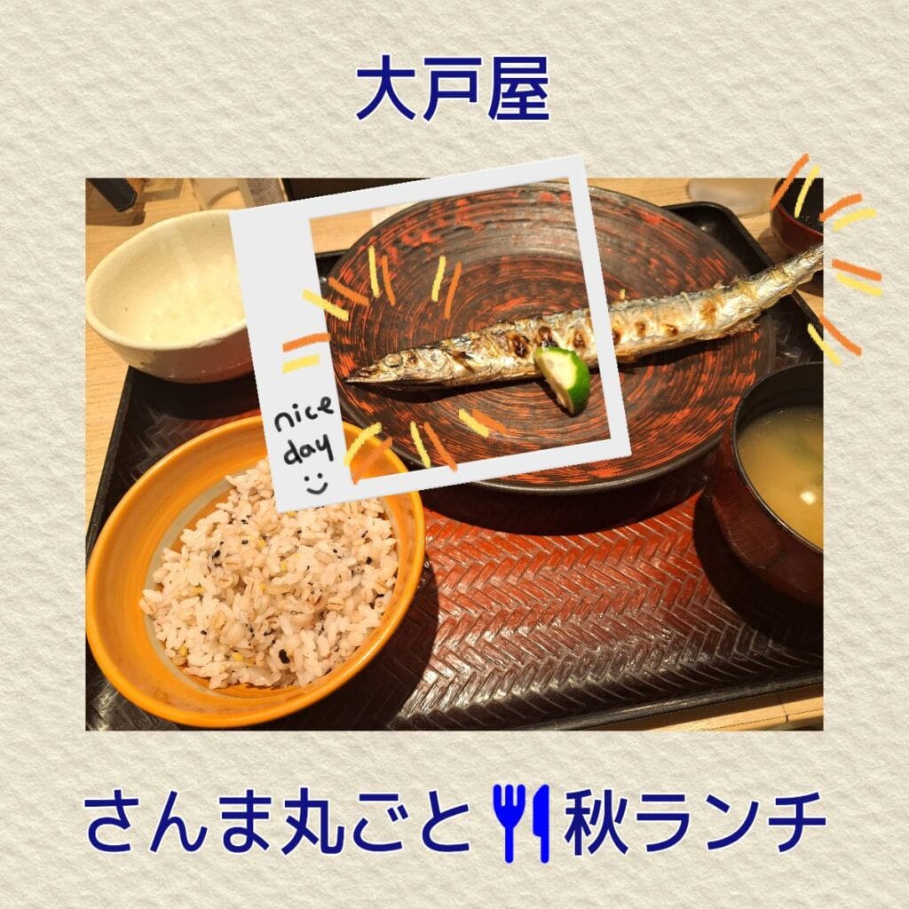 大戸屋　生さんま