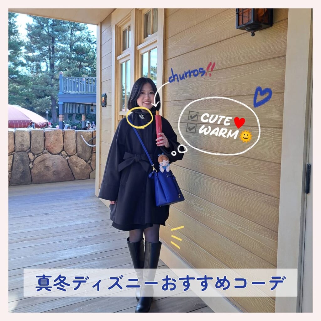 冬 ディズニーコーデ