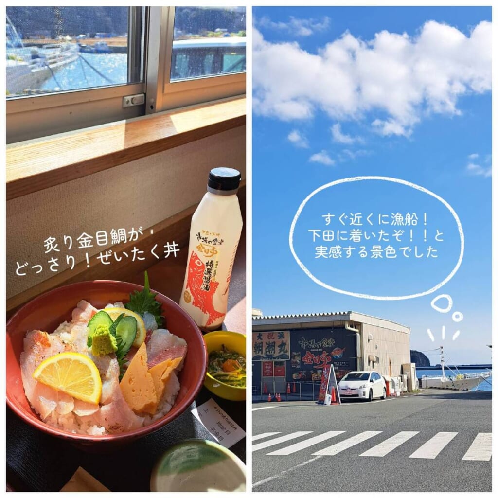 伊豆急下田駅 金目亭