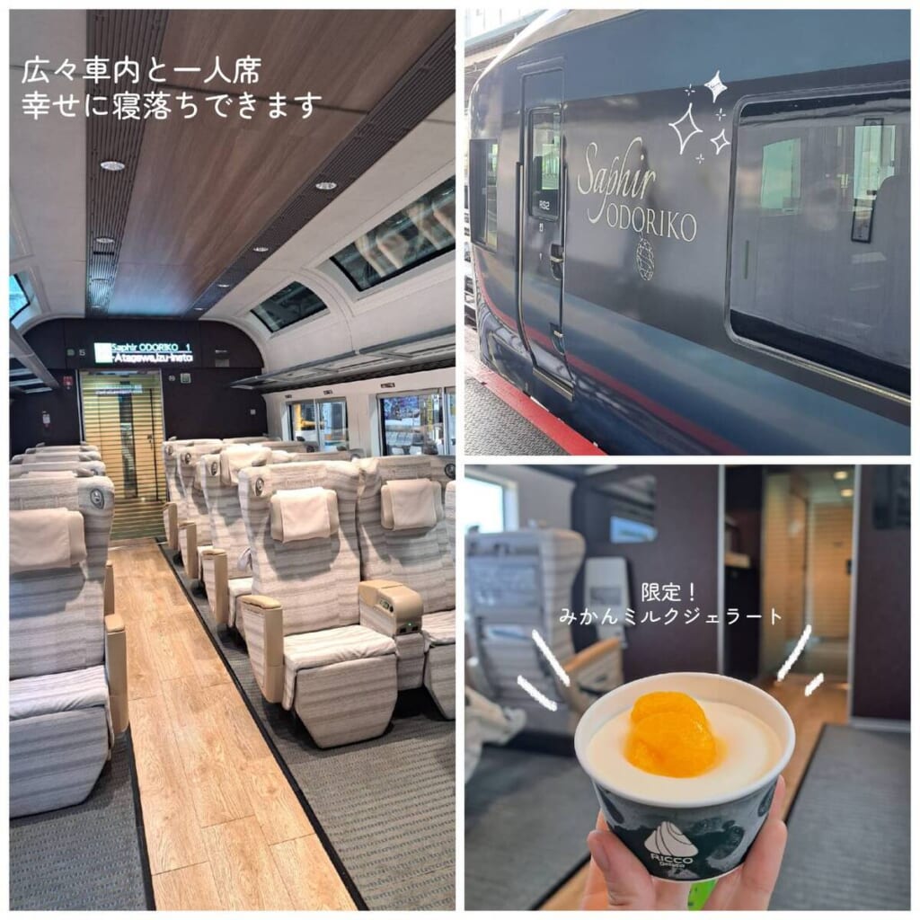 サフィール踊り子 車内