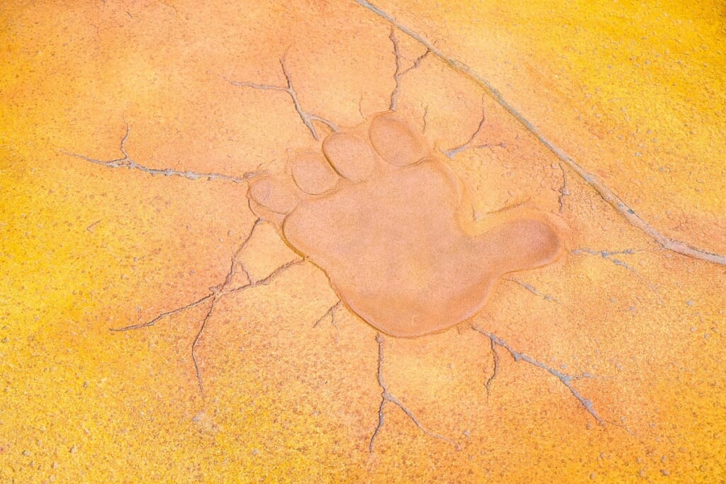 ドンキーコングの足跡