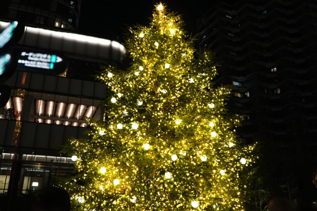麻布台ヒルズ クリスマスマーケット　クリスマスツリー