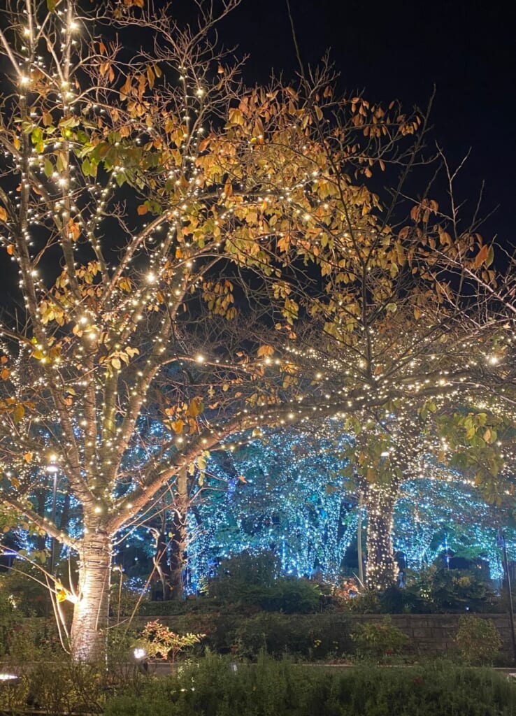 東京イルミネーション