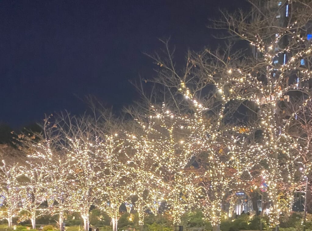 東京イルミネーション 六本木ミッドタウンイルミネーション 街路樹