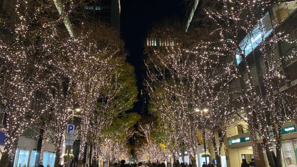 東京イルミネーション 丸の内イルミネーション 街路樹