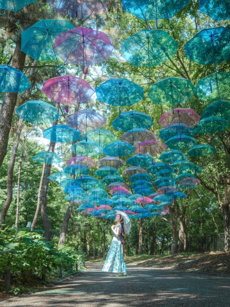 紫陽花スポット　長居植物園　アンブレラスカイ