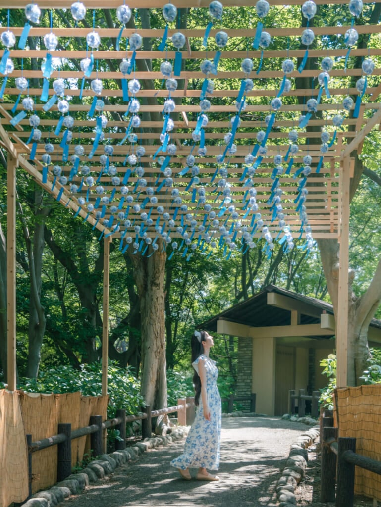 紫陽花スポット　長居植物園　紫陽花の風鈴