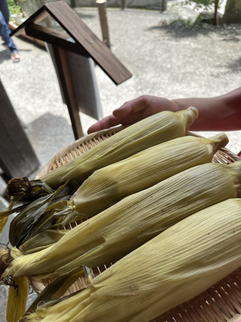 熊本県小国町　蒸したてとうもろこし