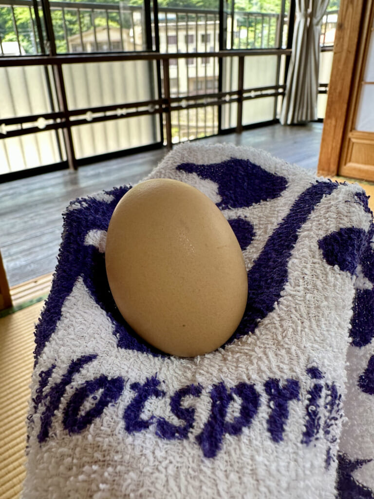 熊本県小国町　ゆで卵