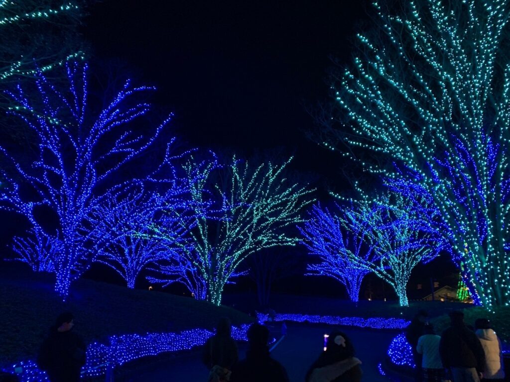なばなの里 入口 イルミネーション 青