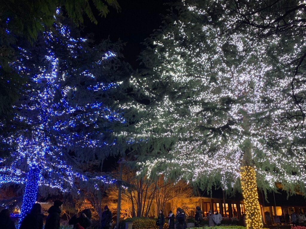 ツインツリー なばなの里 ライトアップ イルミネーション チャペル