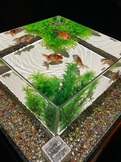 夏のおすすめスポット