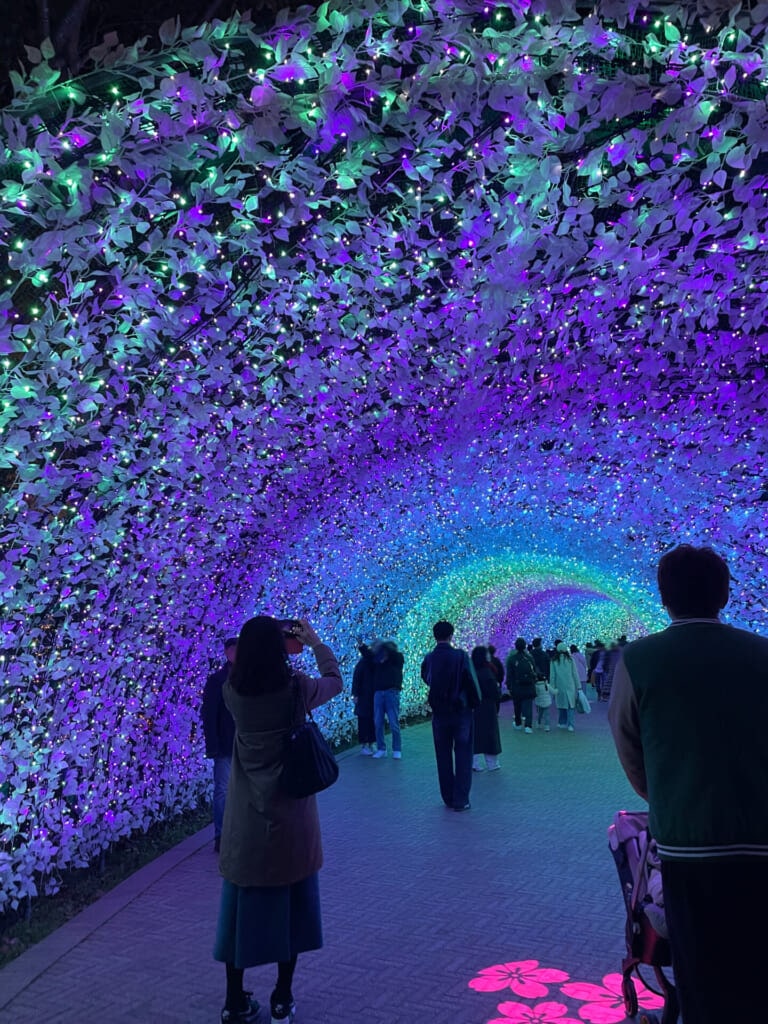 なばなの里　イルミネーション　光のトンネル　波