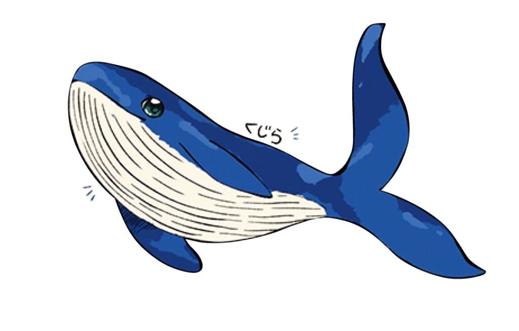 井上和の生まれ変わるなら何になりたい？くじら