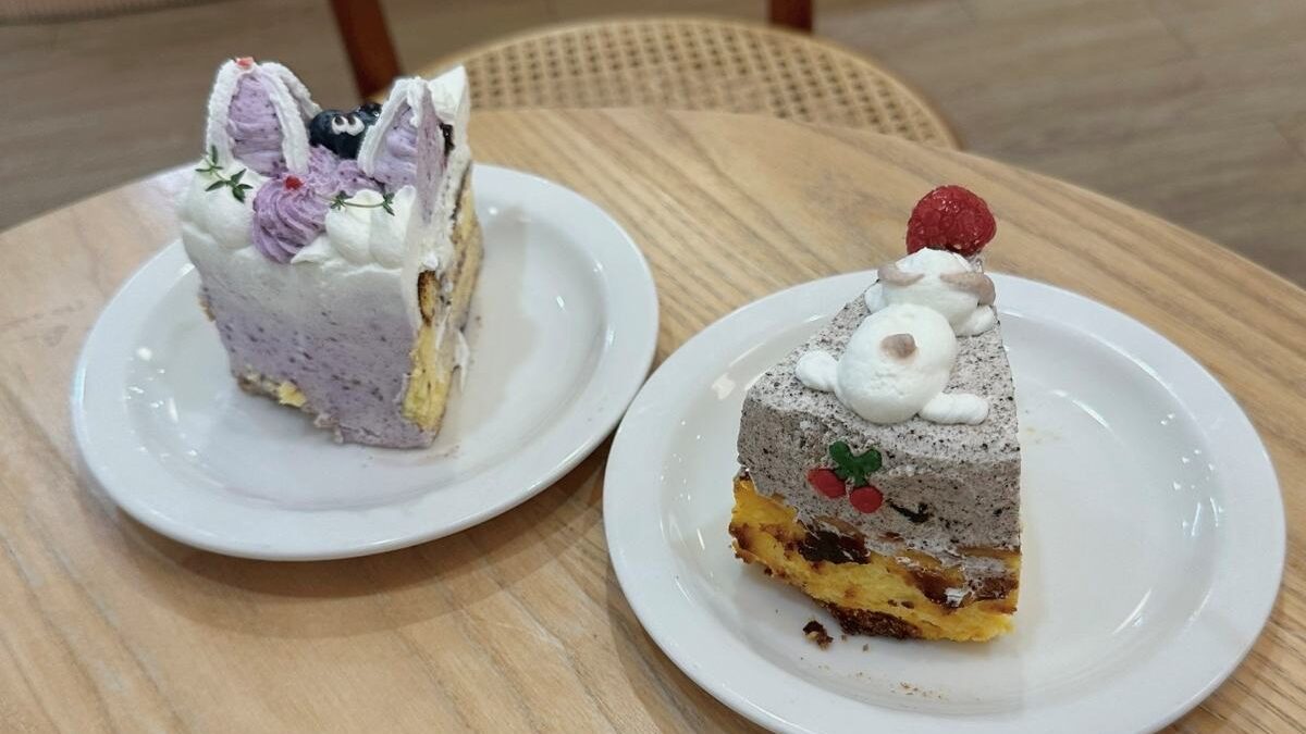 後ろから見たチーズケーキ