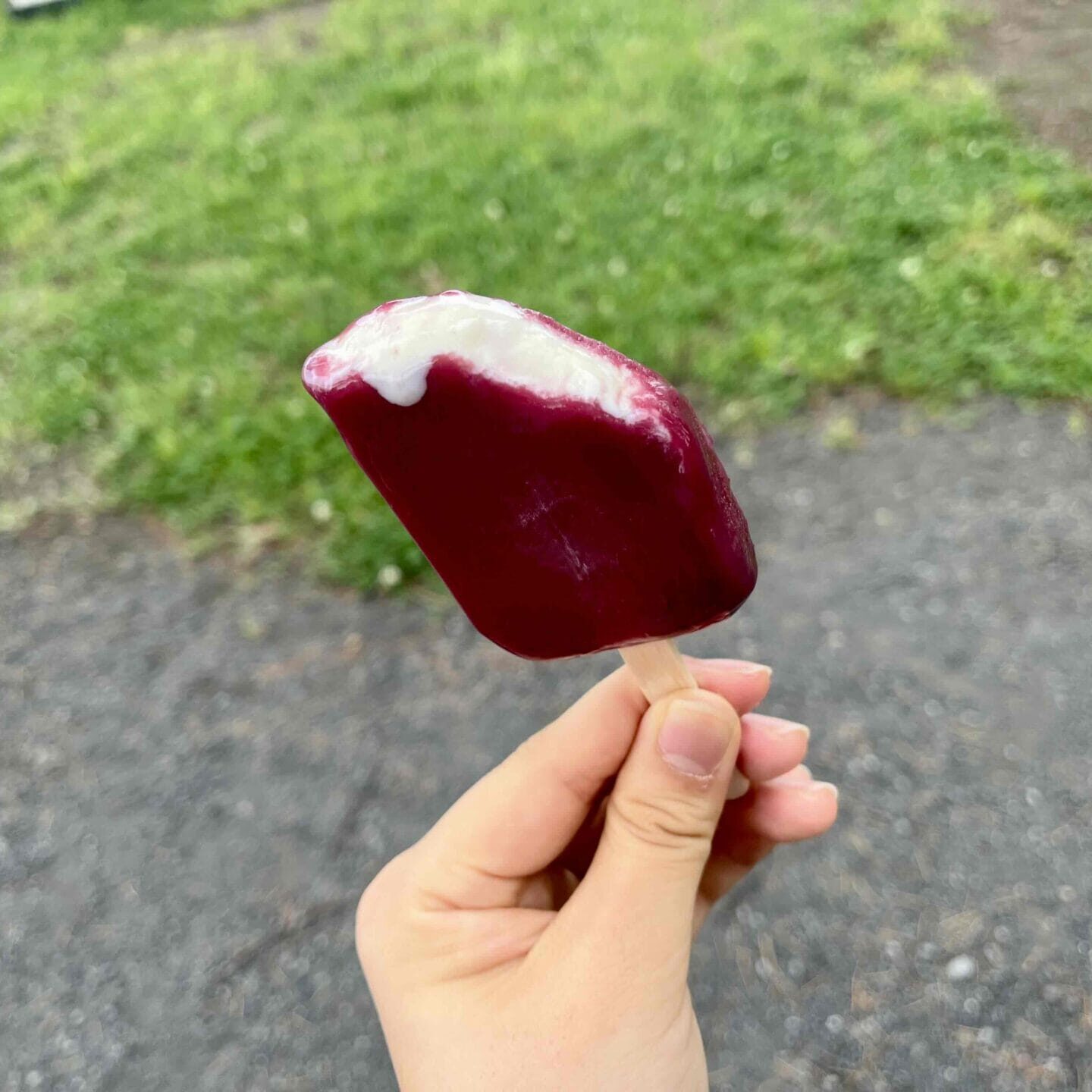 内側のヨーグルト風味のアイスが溶け出している、アサイーボウルアイスバー