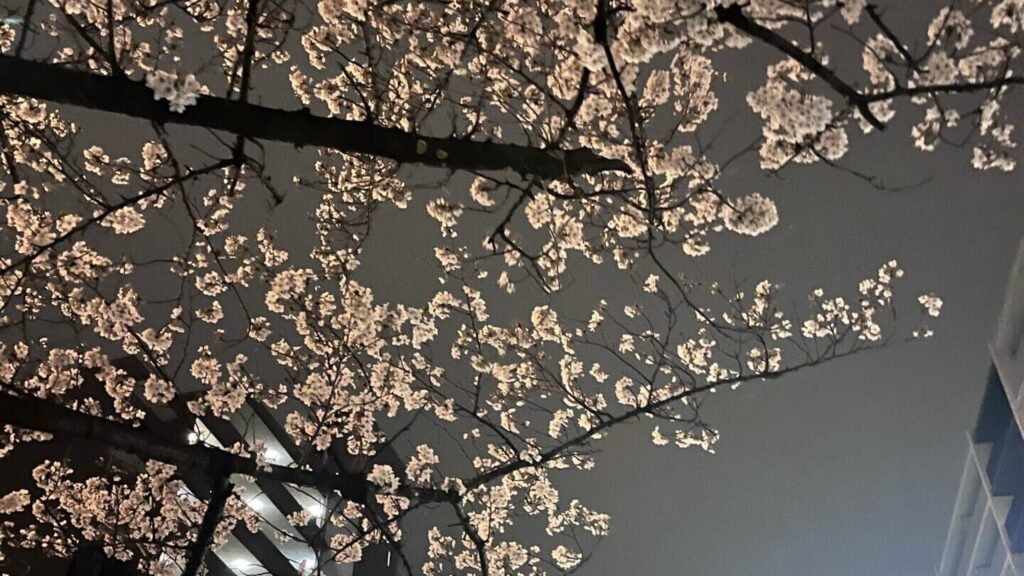 来世ではちゃんとします雰囲気写真