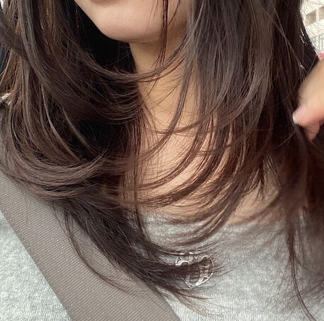 レイヤーカットイメージ①