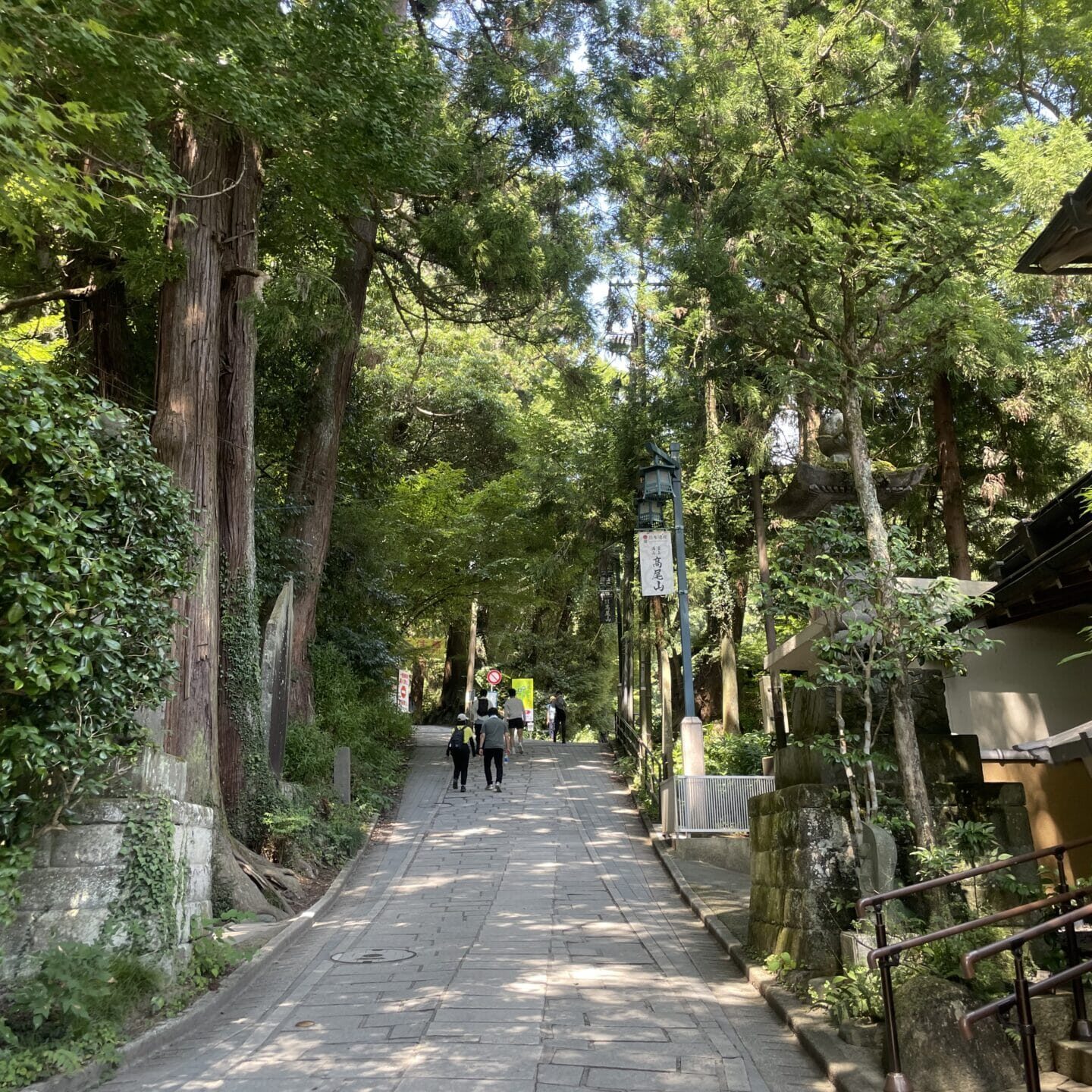 1号路入り口の坂