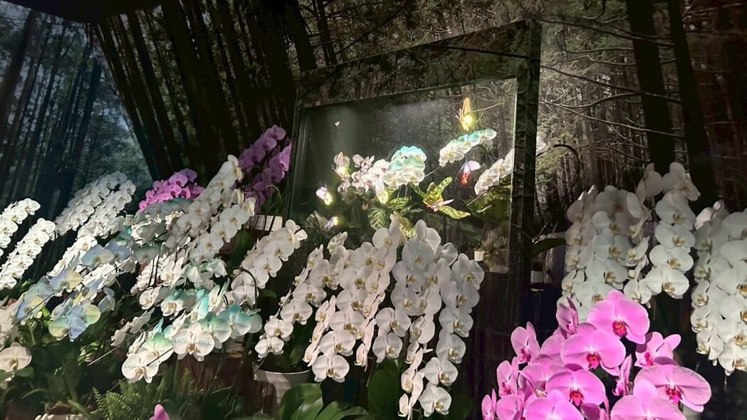 実際の花と透明マイクロLEDディスプレイとラン