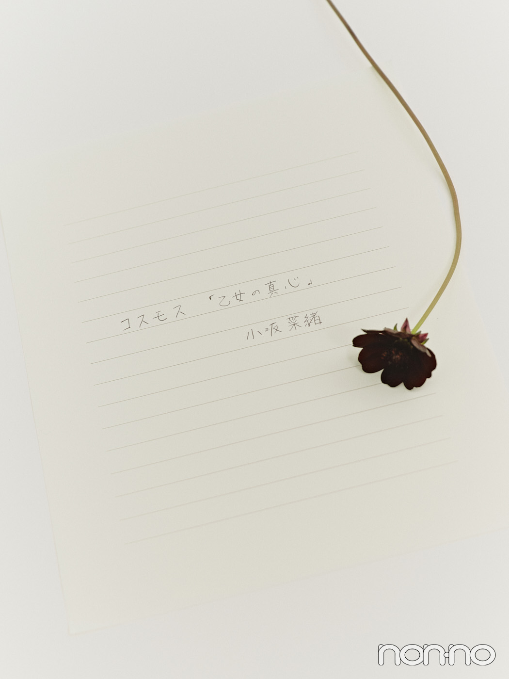 小坂菜緒直筆レターとチョコレートコスモス