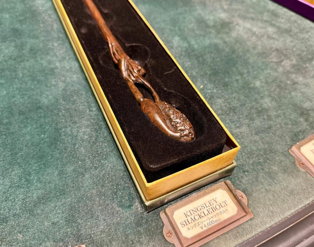 「キングズリー・シャックルボルトの杖」アップ