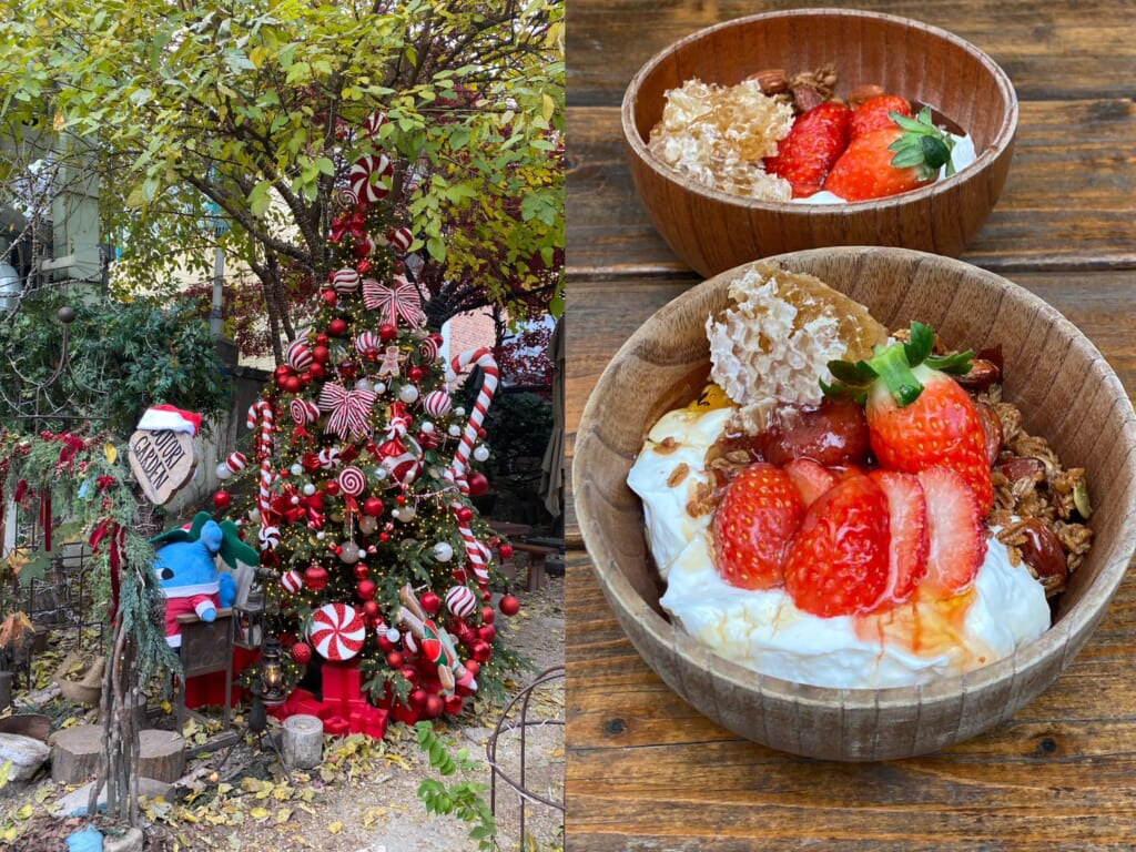 店頭に飾られたクリスマスツリーとストロベリー味のグリークヨーグルト