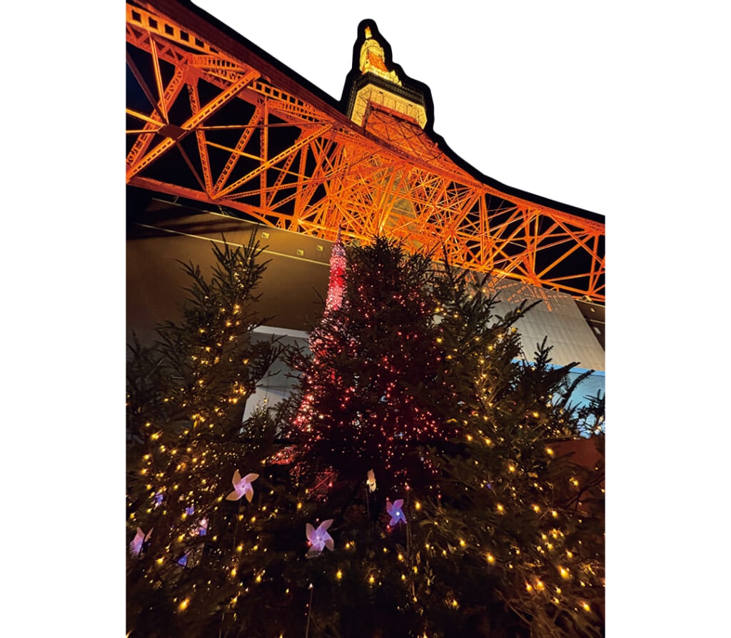 東京タワーをイルミ越しに見上げて、パシャリ（大学2年）
