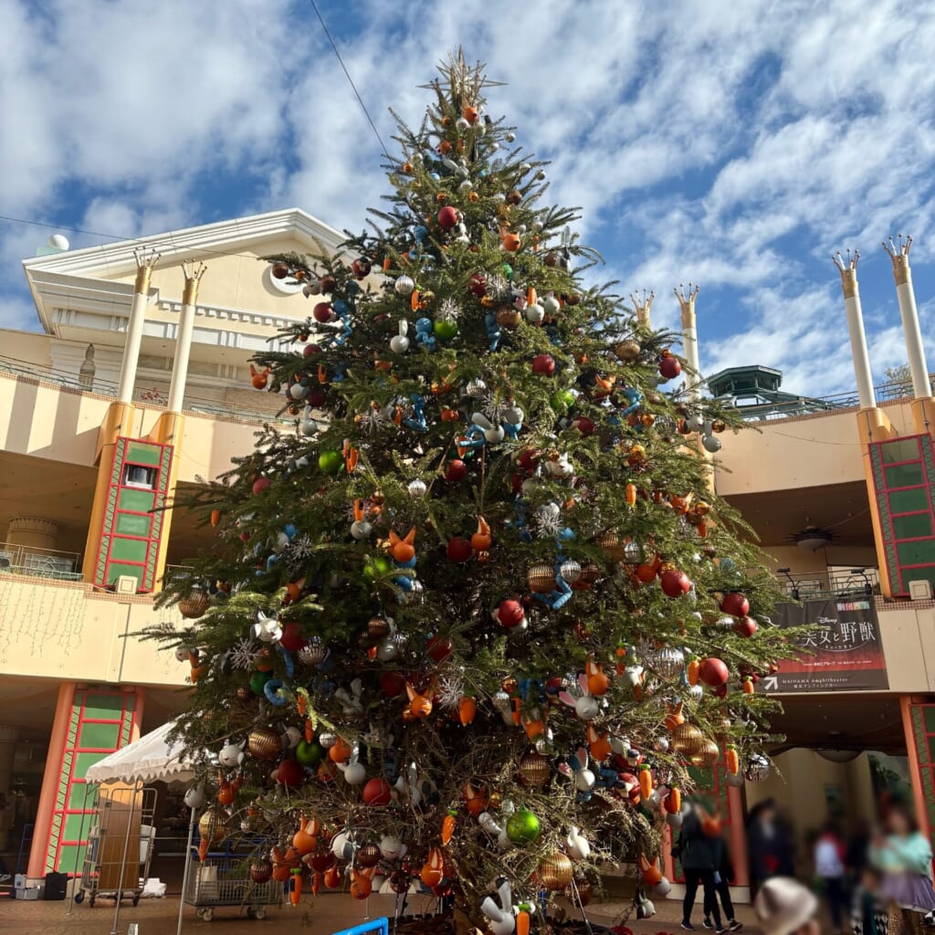お店の前に飾られているクリスマスツリー
