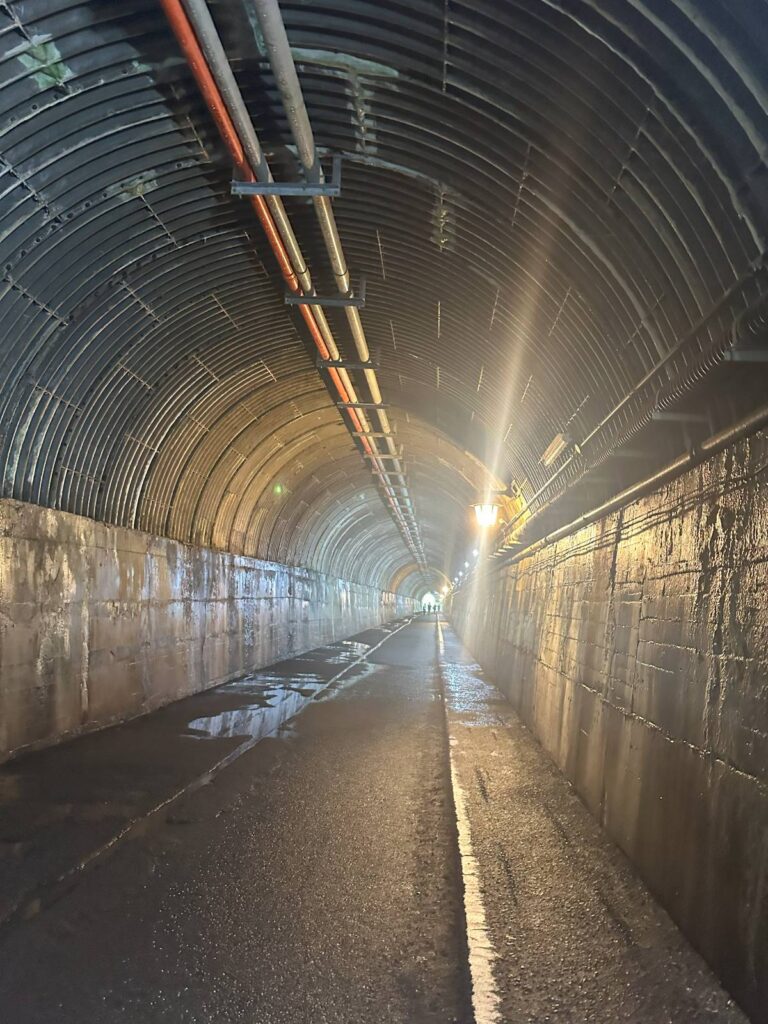 夢のつり橋の道中にあった天子トンネル