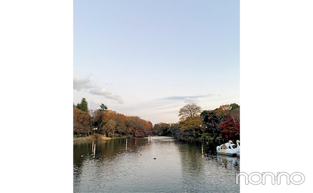 こまめさん・大学4年