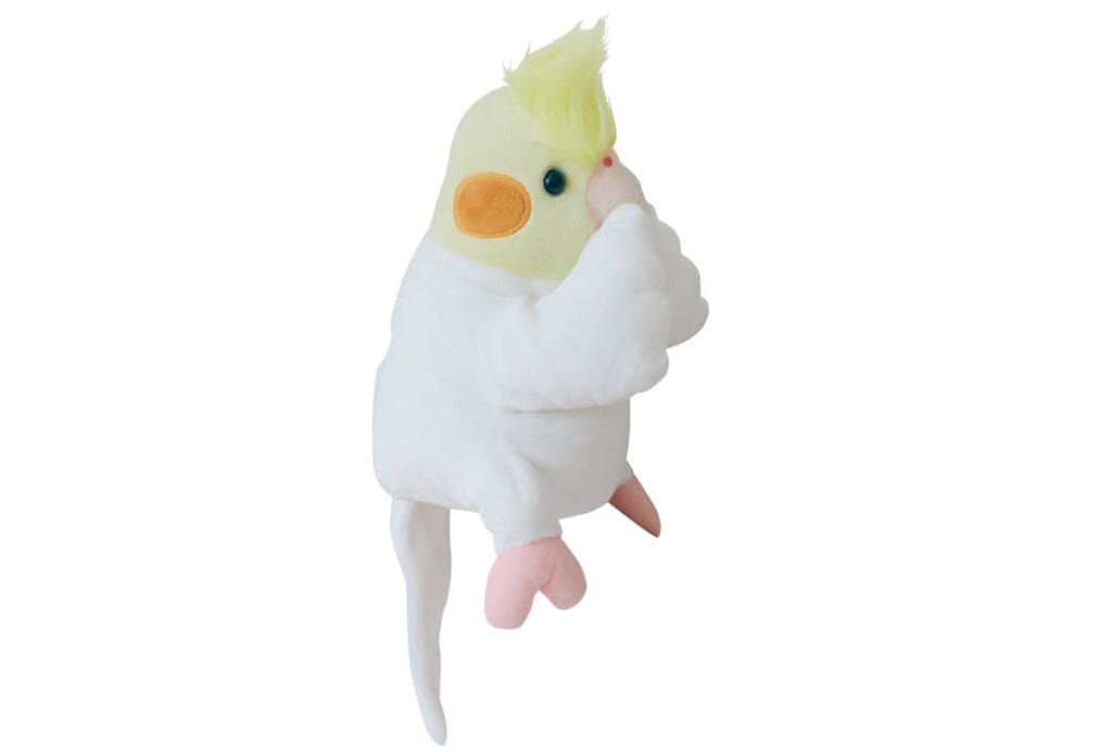 中川智尋のとりきち