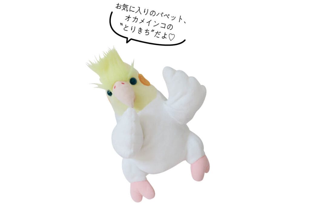 中川智尋のインコ「とりきち」