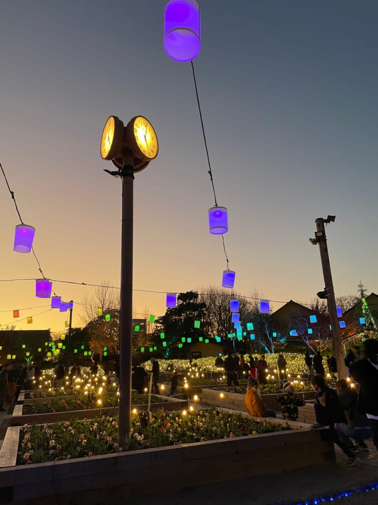 なばなの里　イルミネーション　光の花畑　ランタンガーデン