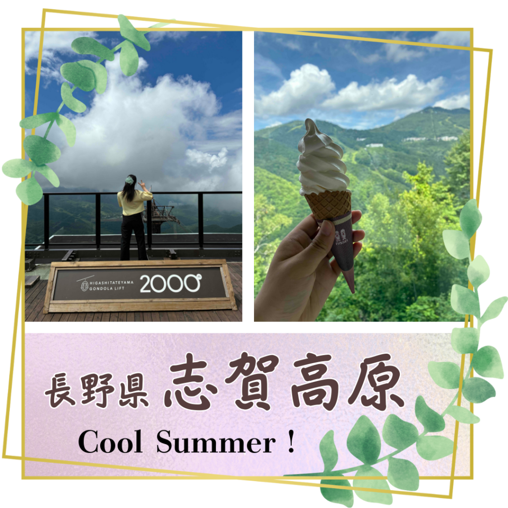 長野県志賀高原の写真