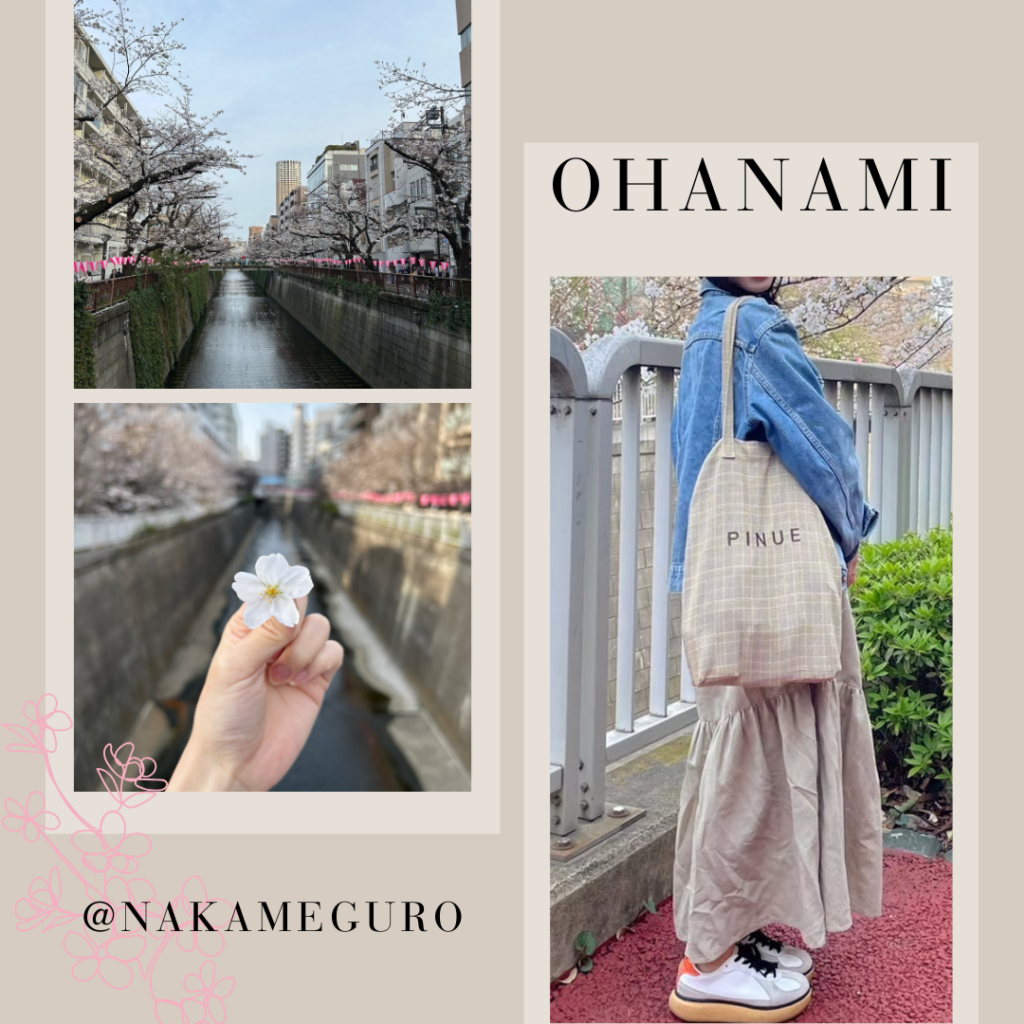 大学生のお花見に行く日のコーデまとめ